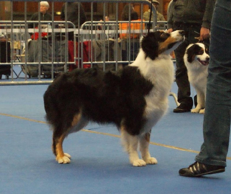 Beau brin de fille de Vaumarloups