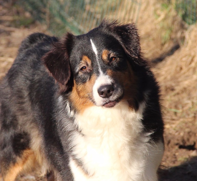 Gimme a kiss de Vaumarloups