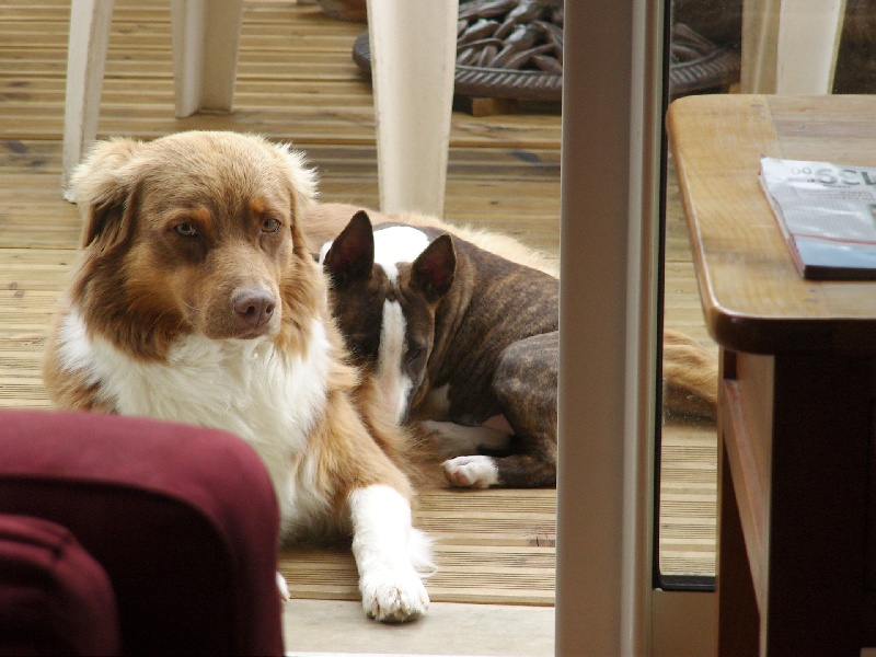 Les copains !